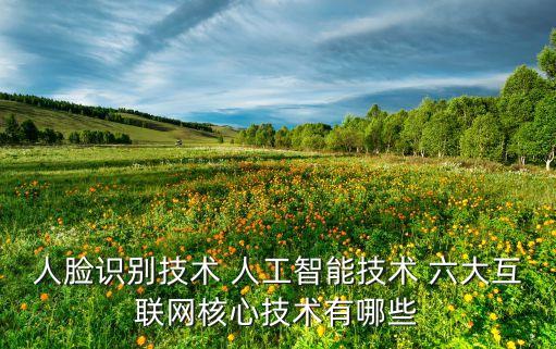 人臉識(shí)別技術(shù) 人工智能技術(shù) 六大互聯(lián)網(wǎng)核心技術(shù)有哪些
