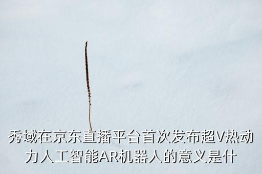秀域在京東直播平臺(tái)首次發(fā)布超V熱動(dòng)力人工智能AR機(jī)器人的意義是什