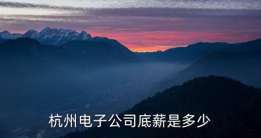杭州電子公司底薪是多少