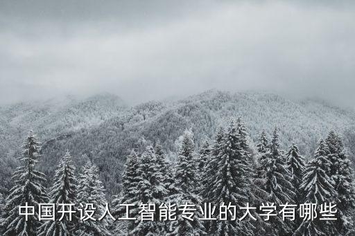 中國開設(shè)人工智能專業(yè)的大學(xué)有哪些