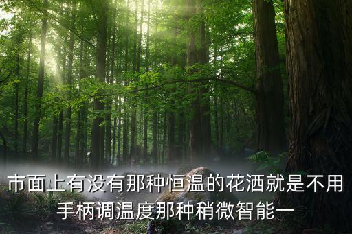 市面上有沒有那種恒溫的花灑就是不用手柄調(diào)溫度那種稍微智能一