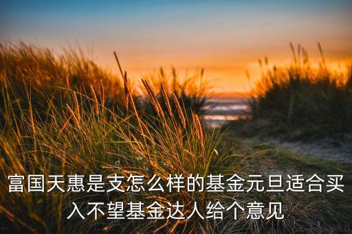 富國天惠是支怎么樣的基金元旦適合買入不望基金達人給個意見