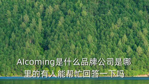 AIcoming是什么品牌公司是哪里的有人能幫忙回答一下嗎