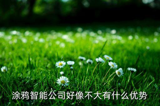 涂鴉智能公司好像不大有什么優(yōu)勢