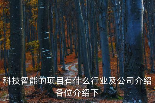 科技智能的項(xiàng)目有什么行業(yè)及公司介紹各位介紹下