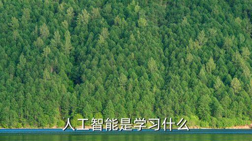 人工智能是學(xué)習(xí)什么