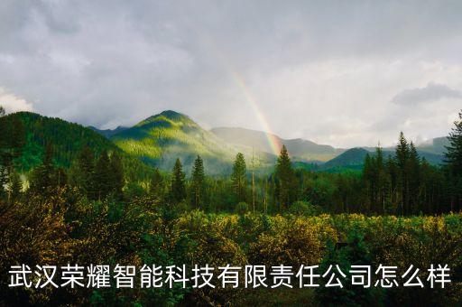 榮彩智能科技怎么樣，深圳榮博機器人智能科技有限公司怎么樣