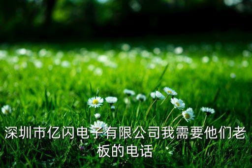 深圳市億閃電子有限公司我需要他們老板的電話