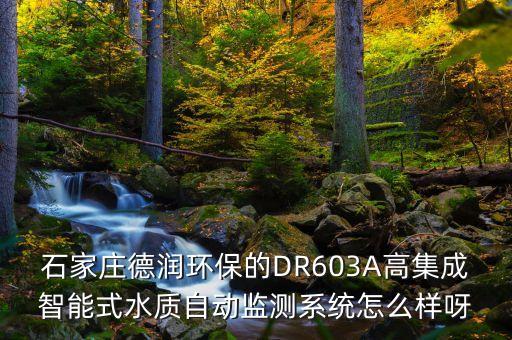石家莊德潤(rùn)環(huán)保的DR603A高集成智能式水質(zhì)自動(dòng)監(jiān)測(cè)系統(tǒng)怎么樣呀
