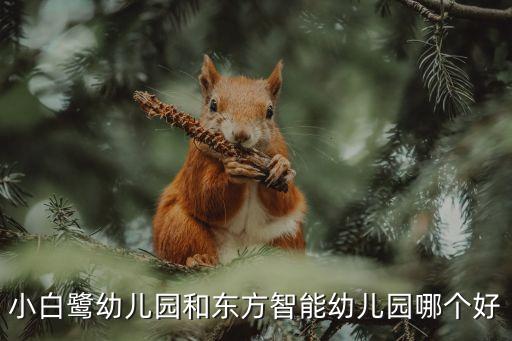 東方智能科技園哪個(gè)好，四川江油鴻雁幼兒園和東方智能幼兒園哪個(gè)好啊