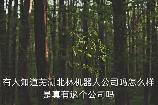 有人知道蕪湖北林機(jī)器人公司嗎怎么樣是真有這個(gè)公司嗎
