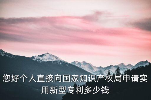 您好個(gè)人直接向國(guó)家知識(shí)產(chǎn)權(quán)局申請(qǐng)實(shí)用新型專利多少錢