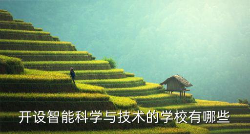 開設(shè)智能科學(xué)與技術(shù)的學(xué)校有哪些