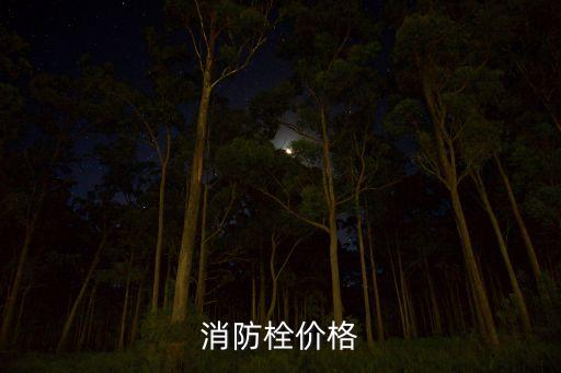 消防栓價格