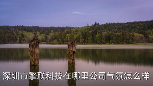深圳市擎聯(lián)科技在哪里公司氣氛怎么樣