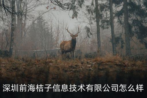 深圳桔子智能科技怎么樣，誰知道桔子智能手機的效果怎么樣得先問問真想買啊但是國產手