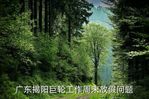 揭陽(yáng)智能巨輪科技怎么樣，廣東巨輪模具有限公司在揭陽(yáng)市經(jīng)濟(jì)開(kāi)發(fā)區(qū)的那家是國(guó)企還是私