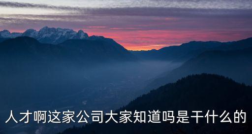 人才啊這家公司大家知道嗎是干什么的