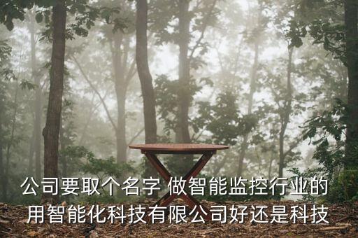 智能化和科技哪個好，智家人智能科技好還是哪個品牌的好呢