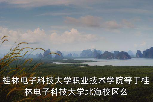 廣西藍(lán)金魚智能科技主要做什么，智業(yè)科技主要是做什么的