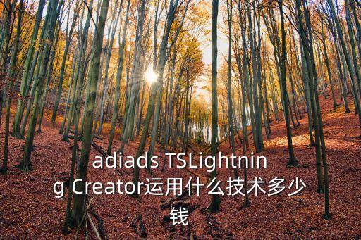 adiads TSLightning Creator運(yùn)用什么技術(shù)多少錢