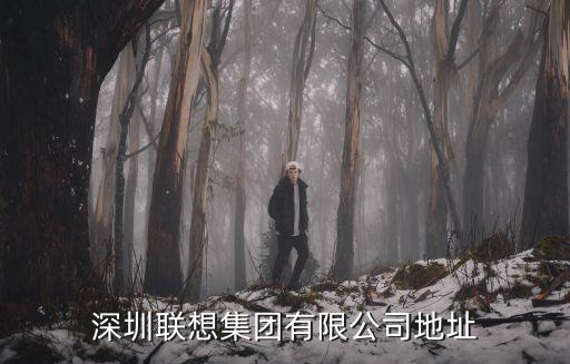 深圳聯(lián)想集團有限公司地址