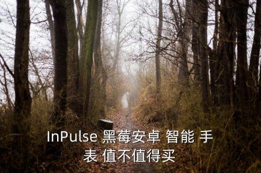 InPulse 黑莓安卓 智能 手表 值不值得買(mǎi)