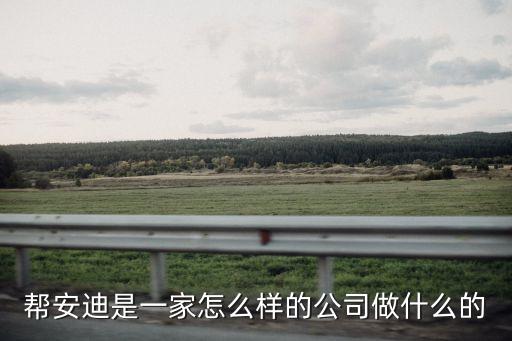 幫安迪是一家怎么樣的公司做什么的