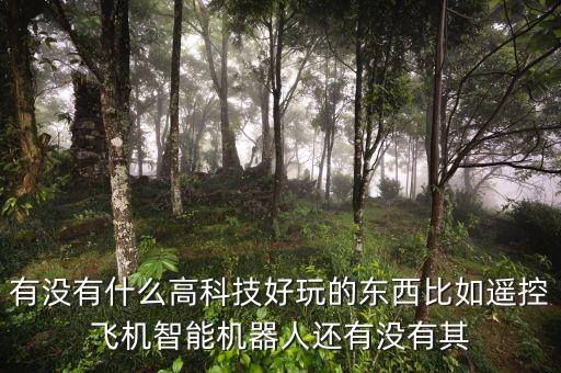 有沒有什么高科技好玩的東西比如遙控飛機智能機器人還有沒有其