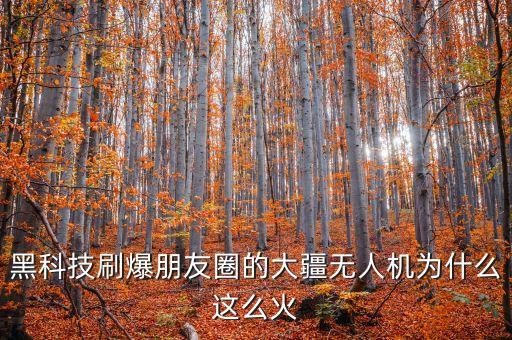 無人機(jī)智能黑科技是什么，無人機(jī)智能飛行系統(tǒng)技術(shù)介紹