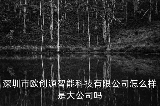 深圳市歐創(chuàng)源智能科技有限公司怎么樣是大公司嗎