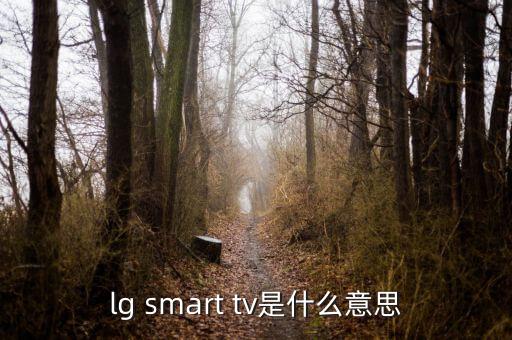 lg smart tv是什么意思