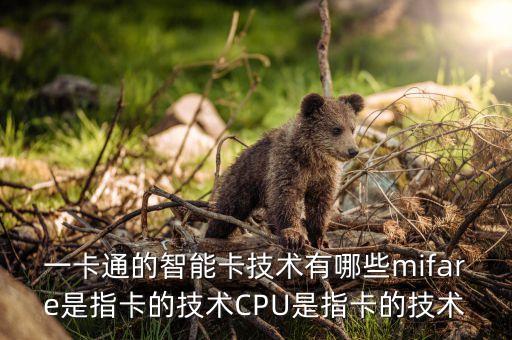 高科技產(chǎn)品智能卡有哪些，小霸王有什么智能卡