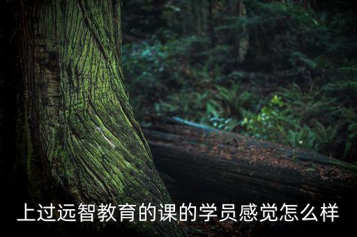 上過(guò)遠(yuǎn)智教育的課的學(xué)員感覺(jué)怎么樣