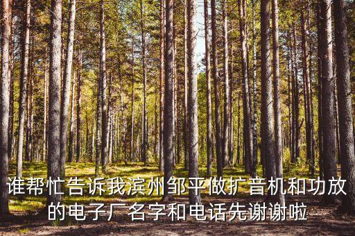 誰(shuí)幫忙告訴我濱州鄒平做擴(kuò)音機(jī)和功放的電子廠名字和電話先謝謝啦
