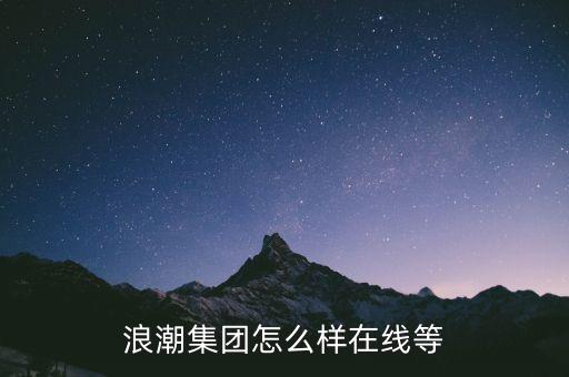 浪潮集團(tuán)怎么樣在線等