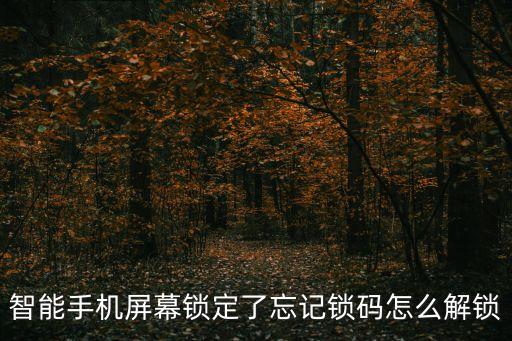智能手機(jī)屏幕鎖定了忘記鎖碼怎么解鎖