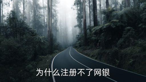 為什么注冊(cè)不了網(wǎng)銀