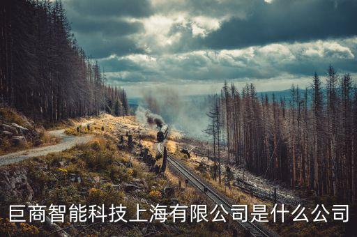 巨商智能科技上海有限公司是什么公司