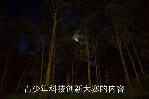 青少年科技創(chuàng)新大賽的內(nèi)容