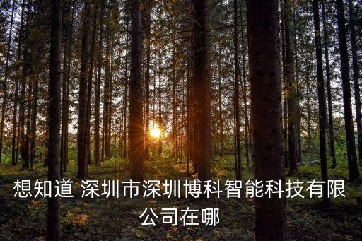 想知道 深圳市深圳博科智能科技有限公司在哪