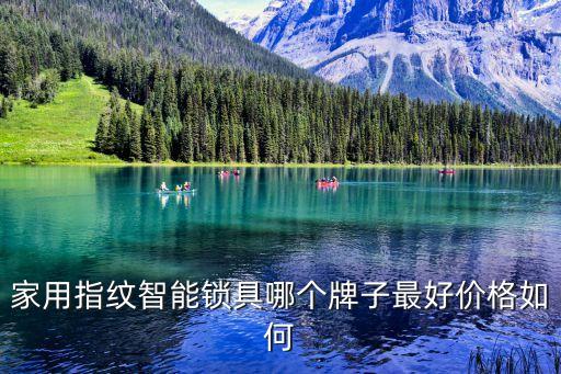 未來(lái)科技智能鎖價(jià)格怎么樣，家用指紋智能鎖具哪個(gè)牌子最好價(jià)格如何