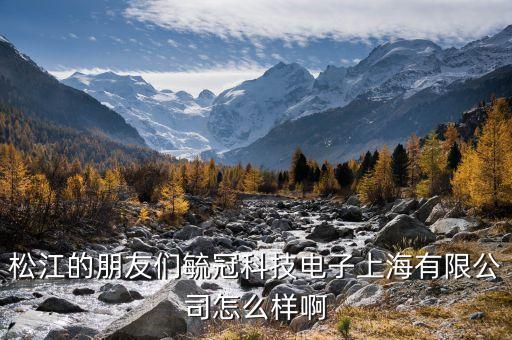 松江的朋友們毓冠科技電子上海有限公司怎么樣啊