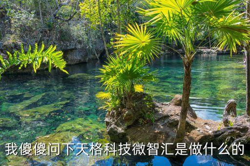 我傻傻問下天格科技微智匯是做什么的