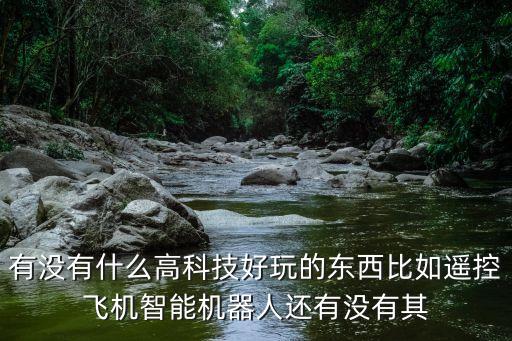 有沒有什么高科技好玩的東西比如遙控飛機(jī)智能機(jī)器人還有沒有其