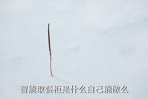 智能取餐柜是什么自己能做么