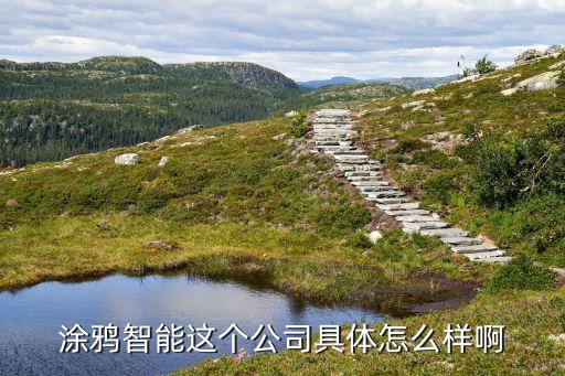 杭州涂鴉智能科技怎么樣，涂鴉智能在業(yè)界的口碑怎么樣啊
