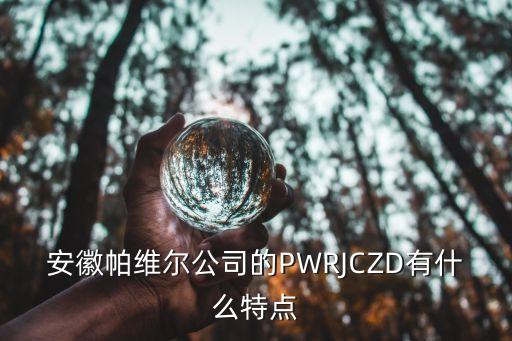 安徽帕維爾智能科技怎么樣，安徽帕維爾公司的PWRJCZD有什么特點(diǎn)