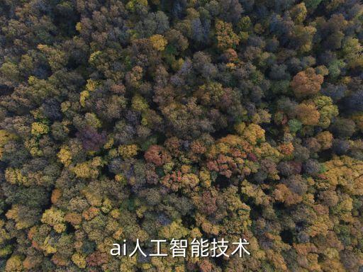 武漢AI智能科技做什么的，ai人工智能技術(shù)