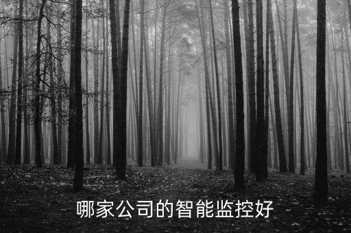 樂奇智能科技監(jiān)控怎么樣，國(guó)內(nèi)很多電子監(jiān)控哪家口碑好呢